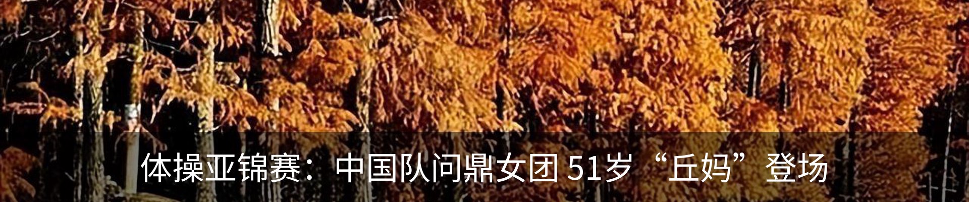 内页banner